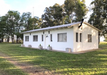 Campo 44 Has Las Flores con criadero de Cerdo